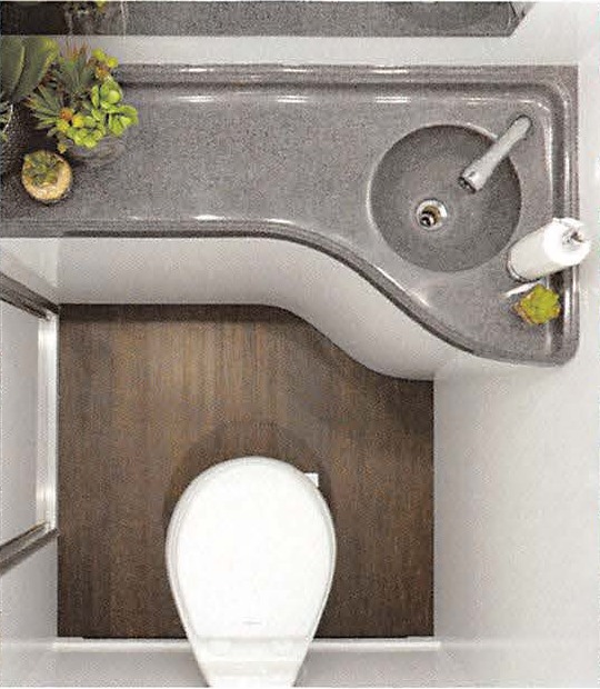 Suite interior — flushing porcelain toilet and plank flooring